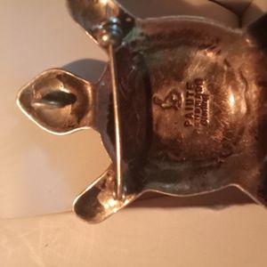 Paiute turtle pin